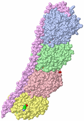 Image Asym./Biol. Unit - sites