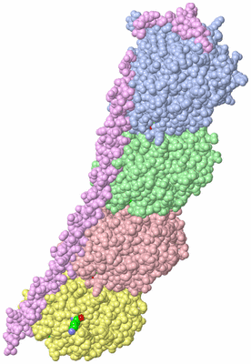 Image Asym./Biol. Unit - sites