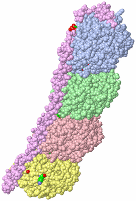 Image Asym./Biol. Unit - sites