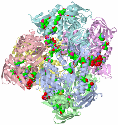 Image Biological Unit 1