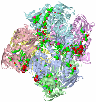 Image Biol. Unit 1 - sites