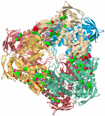 Image Biological Unit 2