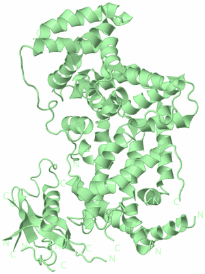 Image Biological Unit 2