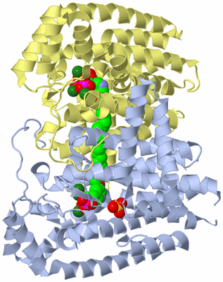 Image Biological Unit 1