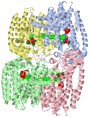 Image Biological Unit 3