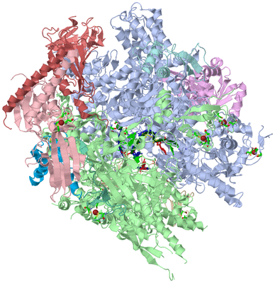 Image Asym./Biol. Unit - sites