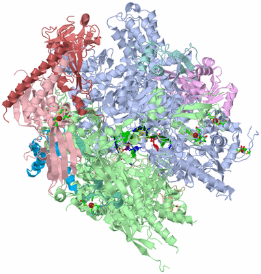 Image Asym./Biol. Unit - sites