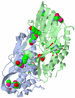 Image Biol. Unit 1 - sites