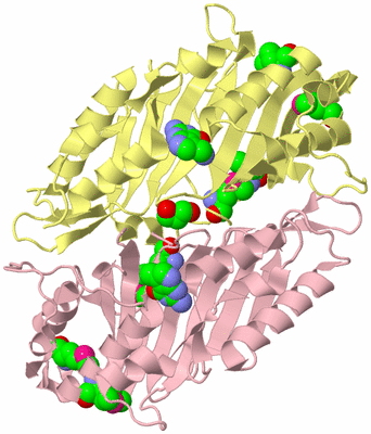 Image Biological Unit 2