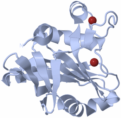 Image Biological Unit 1