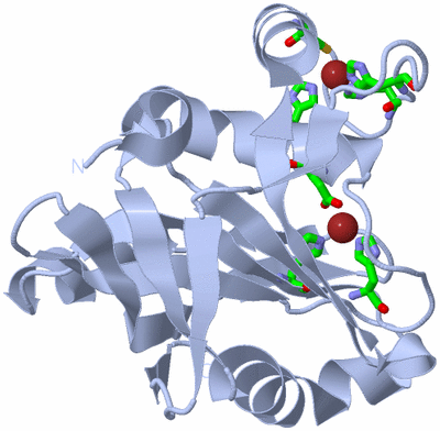 Image Biol. Unit 1 - sites