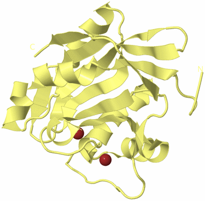 Image Biological Unit 4