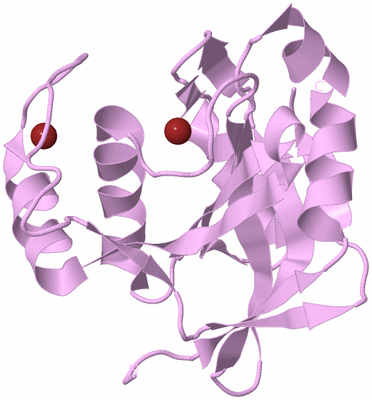 Image Biological Unit 5