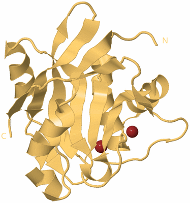 Image Biological Unit 7