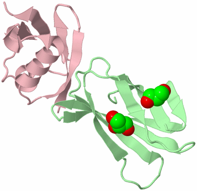 Image Biological Unit 2