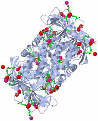 Image Biol. Unit 1 - sites