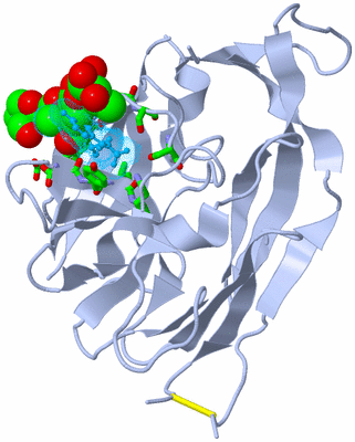 Image Biol. Unit 1 - sites