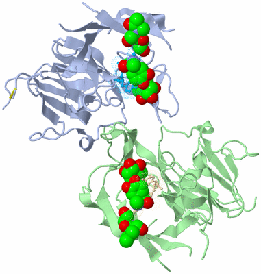 Image Biological Unit 3