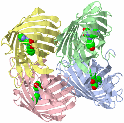 Image Asym./Biol. Unit