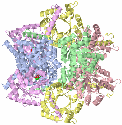 Image Biological Unit 1