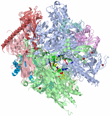 Image Asym./Biol. Unit