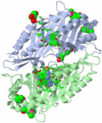 Image Biol. Unit 1 - sites