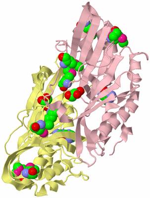 Image Biological Unit 2