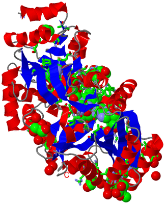 Image Asym./Biol. Unit - sites