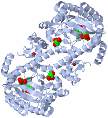 Image Biological Unit 1