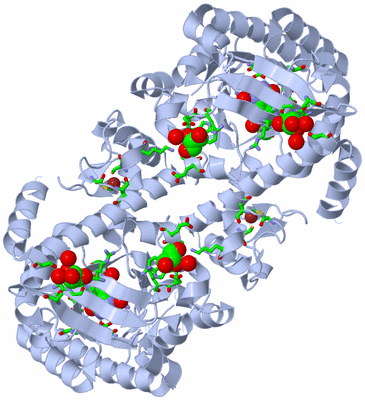 Image Biol. Unit 1 - sites