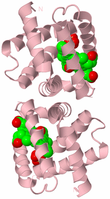 Image Biological Unit 2