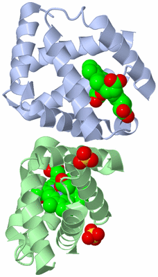 Image Biological Unit 1