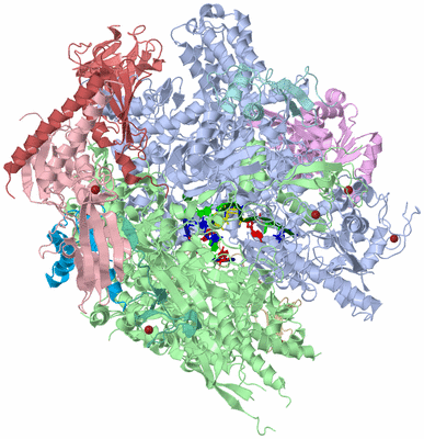 Image Asym./Biol. Unit