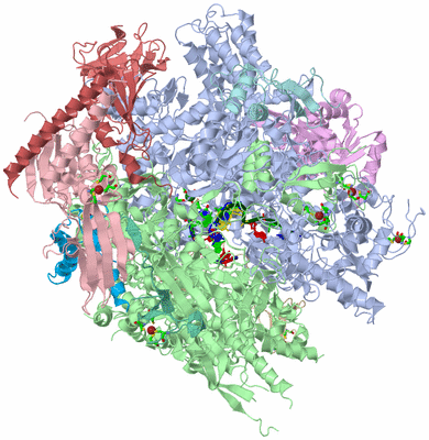 Image Asym./Biol. Unit - sites