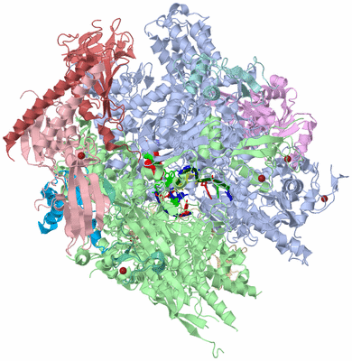 Image Asym./Biol. Unit