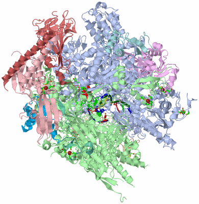 Image Asym./Biol. Unit - sites