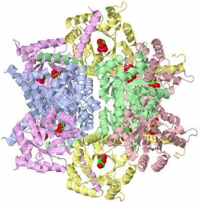 Image Biological Unit 1