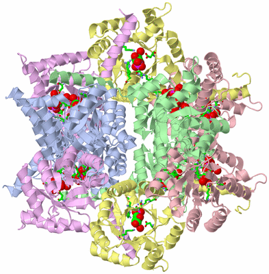 Image Biol. Unit 1 - sites