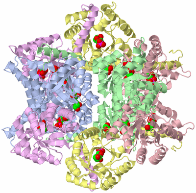 Image Biological Unit 1