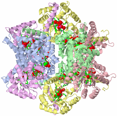 Image Biol. Unit 1 - sites