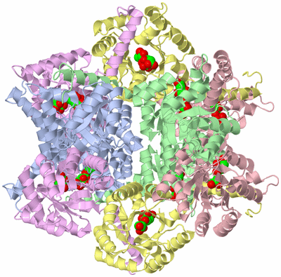 Image Biological Unit 1