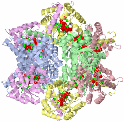 Image Biol. Unit 1 - sites