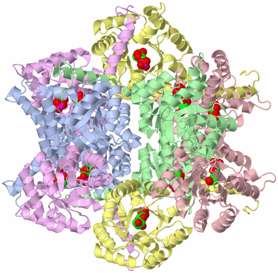 Image Biological Unit 1