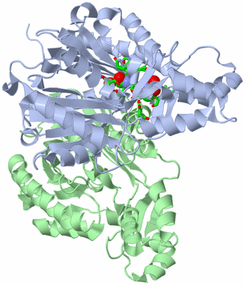 Image Asym./Biol. Unit - sites