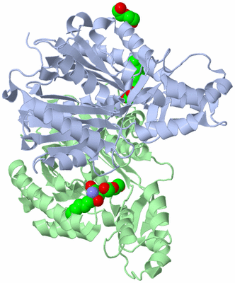 Image Asym./Biol. Unit