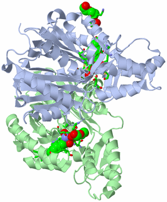 Image Asym./Biol. Unit - sites