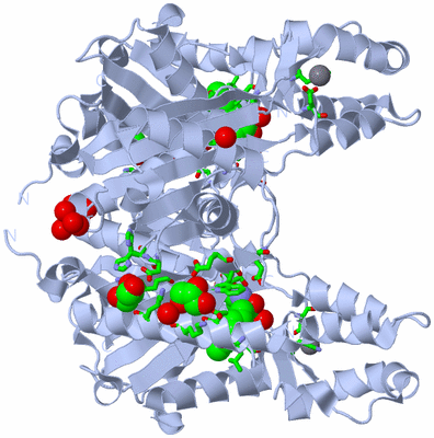 Image Biol. Unit 1 - sites