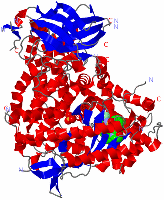 Image Asym./Biol. Unit