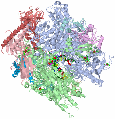 Image Asym./Biol. Unit - sites