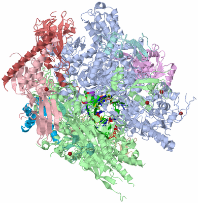 Image Asym./Biol. Unit